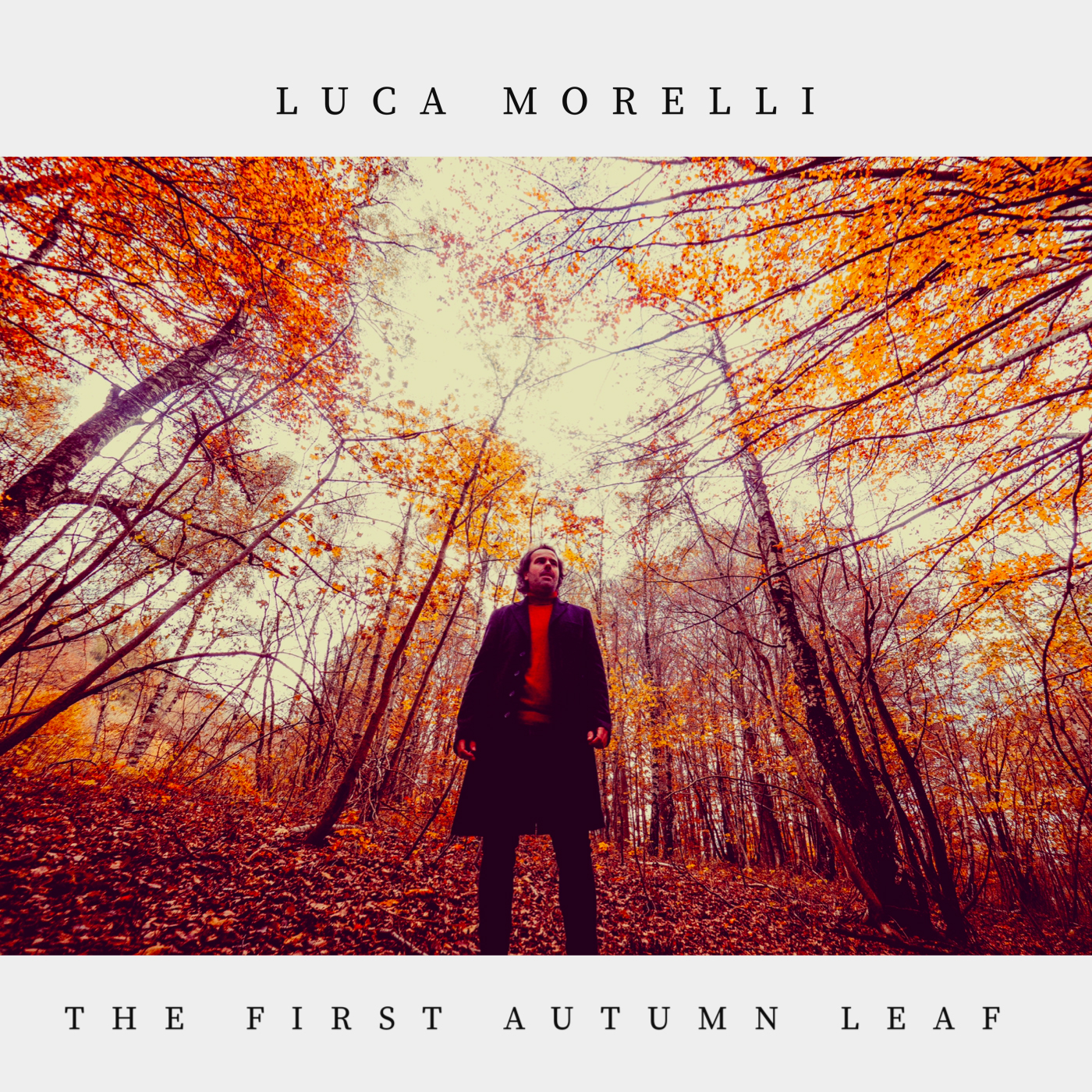 The First Autumn Leaf
